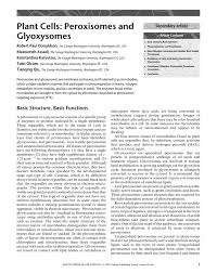 Are present in all photosynthetic cells of higher plants, protozoa, brown algae, fungi. Plant Cells Peroxisomes And Glyoxysomes