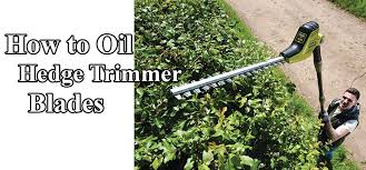Echo hedge trimmers are designed to be durable, lightweight and well balanced. How To Oil Hedge Trimmer Blades Follow This Process Powertoollab