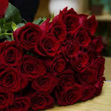 I fiori rossi esprimono un amore vivo e duraturo. Gruppo Soria Rose Rosse Stelo Lungo Per San Valentino