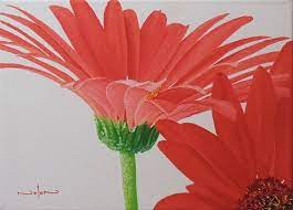 61 Gerbera Flower Painting 500 Jpg 500 359 Flower Painting Flower Art Painting