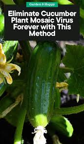 Fungal fruit spot diseases will rot the. Pin On Garden