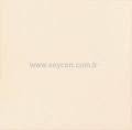 Antiasit Bone 20x20
