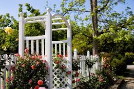 White picket fence with bougainvilla. 7 Pretty White Picket Fence Ideas Art Of The Home