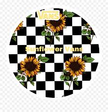 Shop.alwaysreview.com has been visited by 1m+ users in the past month Vans Sunflower Checkered Sticker By Yarely Berber Checkered Wallpaper With Roses Png Sunflower Logo Free Transparent Png Images Pngaaa Com