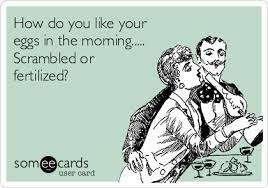 :) we're at 13 weeks and 1 day today, and things are still going well. How Do You Like Your Eggs In The Morning Scrambled Or Fertilized Flirting Ecard