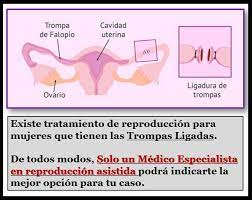 Nuevo Tratamiento Natural Para Poder Quedar Embarazada Home Facebook