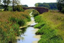 We did not find results for: Difference Between A Stream And A Brook Compare The Difference Between Similar Terms