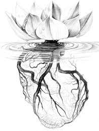 Lotus Flower With Heart Vein Roots Roots Tattoo Lotus Flower Drawing Flower Drawing
