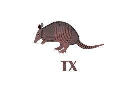 Download Nine Banded Armadillo Tx Svg Cut File By Creative Fabrica Crafts Creative Fabrica SVG Cut Files