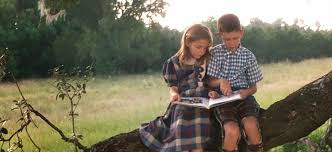 We did not find results for: Litreeture 4 Forrest And Jenny S Tree Daily Dose Of Art