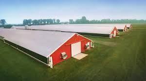 Hot Stock To Watch Sanderson Farms Inc Safm Farm Shed Poultry Farm Farm Design