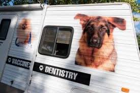 We provide the very best care for your pet, with less stress, at a time convenient for you. Vet To Pet Mobile Services Love Northern Bc