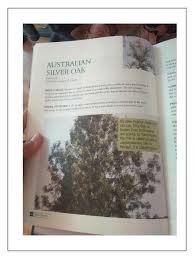 We did not find results for: Silver Oak Tree Oak Trees