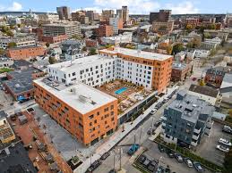 Image result for Lintonia