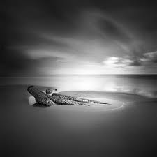 Best Black And White Nature Photographers Black And White Long Exposure Photography By Will Le 121clicks Com Exposure Photography Long Exposure Photography Black And White Landscape
