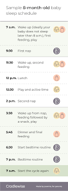 8 month old baby sleep schedule: A guide