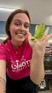 Real life walking leaf photo shared