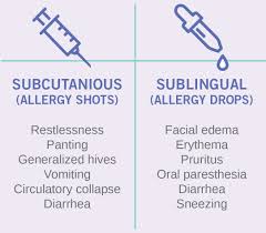 learn about allergy immunotherapy stallergenes greer