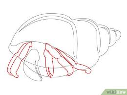 Arts and crafts activity notes: How To Draw A Hermit Crab 8 Steps With Pictures Wikihow