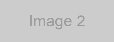 Banner 1