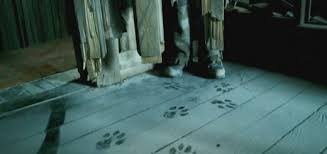 Who Do Some Fans Think Were 2 Or 3 Characters That Went Beyond The Veil In  The Harry Potter Story Who Might Have Come Back As Ghosts To Roam The Halls  Of