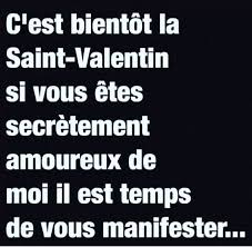 Texte 1 pour saint valentin humour. Humour St Valentin Declarer Votre Flamme Doc De Haguenau
