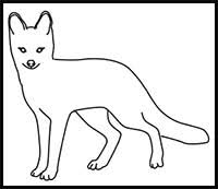Don't try to draw it all at once. How To Draw Cartoon Foxes Realistic Foxes Drawing Tutorials Drawing How To Draw Foxes Drawing Lessons Step By Step Techniques For Cartoons Illustrations