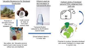 The presence of free fatty acids is the controlling parameter of the method (process) used for biodiesel production. Production Of Biodiesel By Enzymatic Transesterification Of Non Edible Salvadora Persica Pilu Oil And Crude Coconut Oil In A Solvent Free System Bioresources And Bioprocessing Full Text