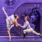 Santa Barbara Festival Ballet - The Nutcracker