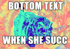 Bottom text meme for fun | www.textmemes.com. Bottom Text Know Your Meme