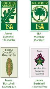 We did not find results for: Austin Tree Removal Certified Arborist Tree Trimming And Services