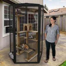 Even if your feline is fairly active and regularly races around his outdoor cat kennels, too much food will cause him to pack on the pounds. Build Your Own Cat Cages Customcages Com