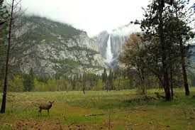 Yosemite Falls