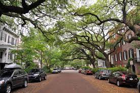 Download in under 30 seconds. All About My First Trip To Savannah Ga Wishes And Dishes