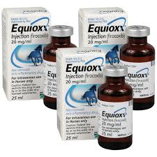 Equioxx For Horses Universal Vet And Pain Killers Supplier