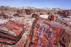 I've already mentioned that there aren't any campgrounds or operating lodges in the park. 8 Things You Can T Miss On Your First Visit To Petrified Forest Dirt In My Shoes