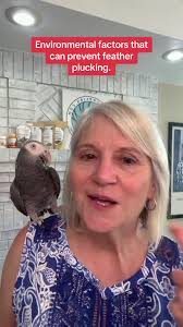 Listen for environmental factors that can help prevent and reduce feather  plucking in your bird. #featherplucking #petbirdcare #birdlover  #birdsupplies #petbirdplucking #parrotlover
