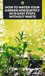 We did not find results for: Watering Your Plants How Often When To Do It And 10 Things To Know