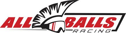 Image result for 5790529399 all-balls-racing