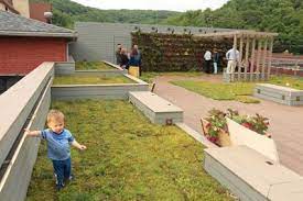15 615 roof garden stock video clips in 4k and hd for creative projects. Watch Video Bottle Works Green Roof Gets Early Test News Tribdem Com