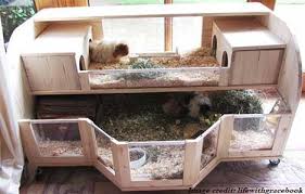 Regular guinea pig cages can not only prove to be too small, but have other potentially adverse drawbacks that may harm your fluffy friend. Guinea Pig Cage Options To Choose From Small Furry Pets
