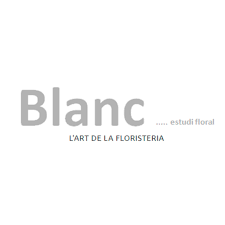 Blanc estudi floral
