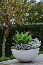 Shop a wide selection of tall outdoor round planters in a variety of colors, materials and styles to fit your home. Summer Style Green And White And Gray Large White Modern Contemporary Round Planter Pot Filled With Potted Plants Outdoor Garden Plant Pots Outdoor Planters