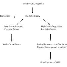 These symptoms do not always mean you have prostate cancer. Prostate Cancer Diagnosis And Treatment Download Scientific Diagram