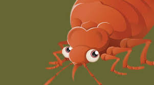 A 2010 survey from the university of kentucky and the national pest management association found that 95% of us pest control companies had treated a bed bug. The Bed Bugs Are Still Biting Resort Trades Magazine