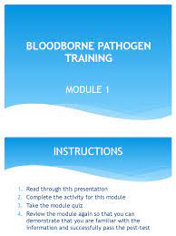 Compliance manual*, completion certificate* & wallet cards*, training and. Bloodborne Pathogens May Enter Your System Through
