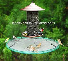 Bird Seed Catcher Large At Backyard Wild Birds Bird Seed Squirrel Proof Bird Feeders Large Bird Feeders