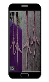 Jul 26, 2021 · 11 gambar ayam bangkok berkelas (paling dicari pecinta unggas) march 8, 2021 3 min read. Ciri Sisik Kaki Ayam Aduan Latest Version For Android Download Apk