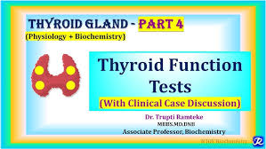 Image result for Thyroid Function Test