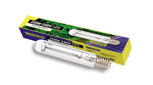 Hyderabad public school, in india. Hps Lamp 250w 240v Hps Lamps Grow Lighting